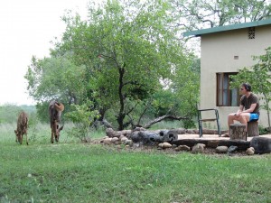 Accommodation on safari (c) James Bailey