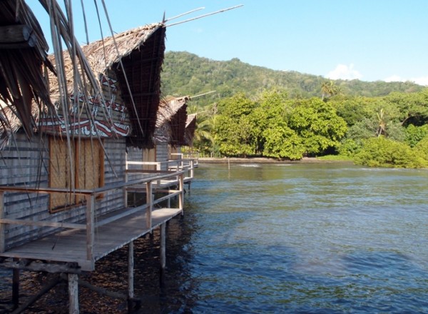 Nuli Sapi, Papua New Guinea