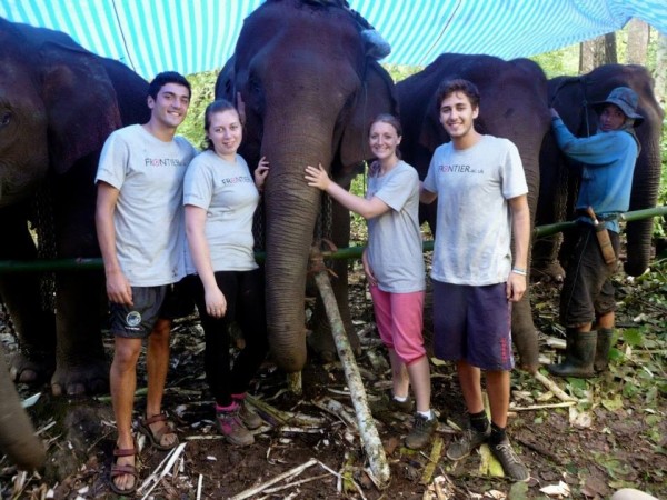 working on Frontier Thailand elephant project