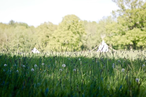 meadows at Camp Katur, Yorkshire