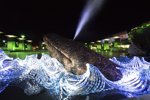 Life size whale art makes a splash in Bristol