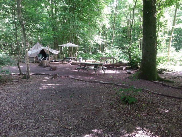 Back to nature at Eco Camp UK, Sussex